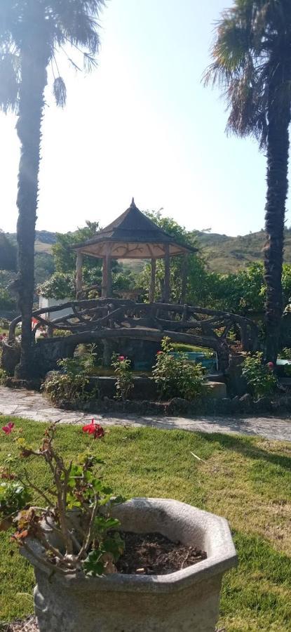 ויירה דו מיניו Casas Do Sameiro מראה חיצוני תמונה